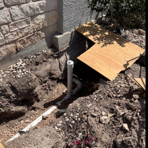 image (6)